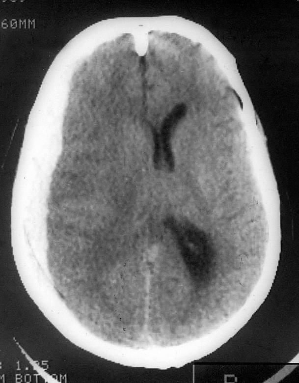 Иллюстрация к книге — 100 великих тайн сознания [i_012.jpg]