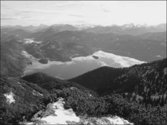 Иллюстрация к книге — Сокровища Третьего рейха [i_041.jpg]