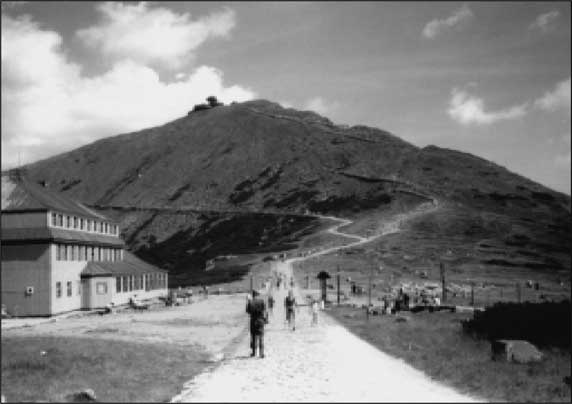 Иллюстрация к книге — Сокровища Третьего рейха [i_048.jpg]