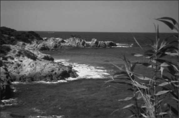 Иллюстрация к книге — Сокровища Третьего рейха [i_051.jpg]