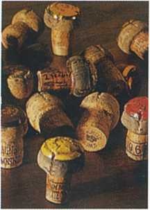 Иллюстрация к книге — Совершенное сочетание вина и еды [i_006.jpg]