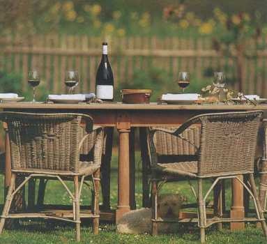 Иллюстрация к книге — Совершенное сочетание вина и еды [i_100.jpg]