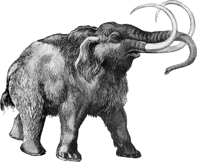 Иллюстрация к книге — 500 великих катастроф [i_004.jpg]