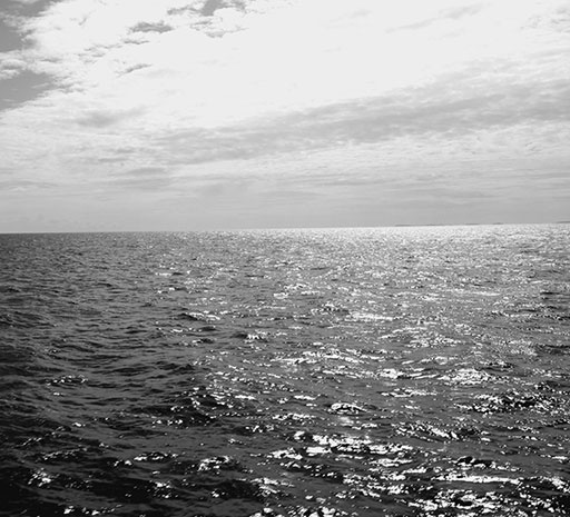 Иллюстрация к книге — 500 великих катастроф [i_144.jpg]