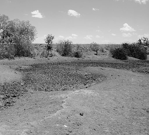 Иллюстрация к книге — 500 великих катастроф [i_243.jpg]