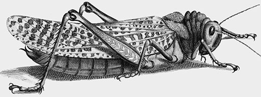 Иллюстрация к книге — 500 великих катастроф [i_247.jpg]