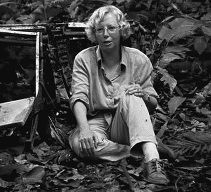 Иллюстрация к книге — 500 великих катастроф [i_420.jpg]