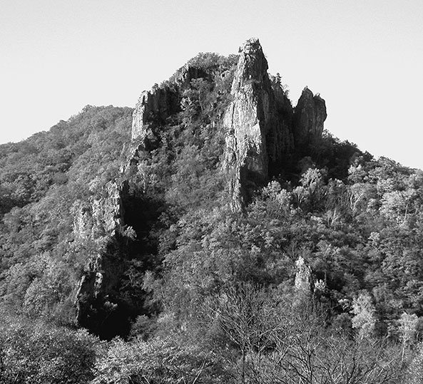 Иллюстрация к книге — 500 великих катастроф [i_455.jpg]