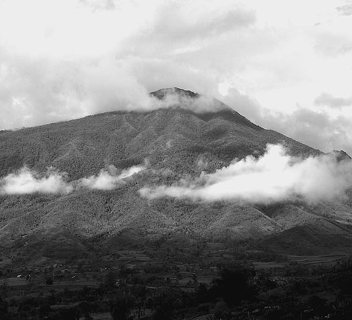 Иллюстрация к книге — 500 великих катастроф [i_464.jpg]