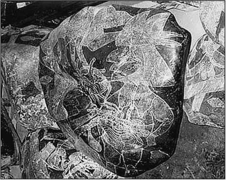 Иллюстрация к книге — 500 великих загадок истории [i_002.jpg]