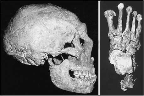 Иллюстрация к книге — 500 великих загадок истории [i_006.jpg]