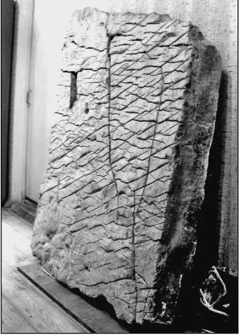 Иллюстрация к книге — 500 великих загадок истории [i_024.jpg]