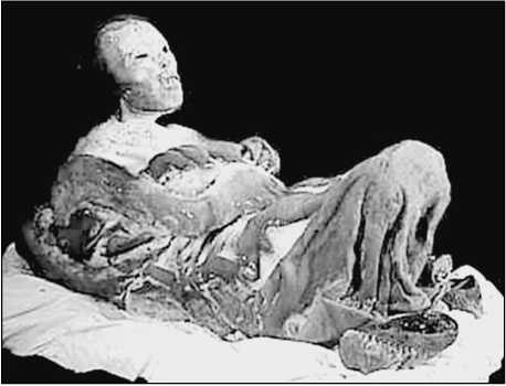 Иллюстрация к книге — 500 великих загадок истории [i_078.jpg]