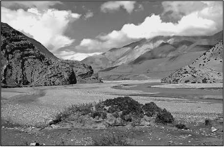 Иллюстрация к книге — 500 великих загадок истории [i_102.jpg]