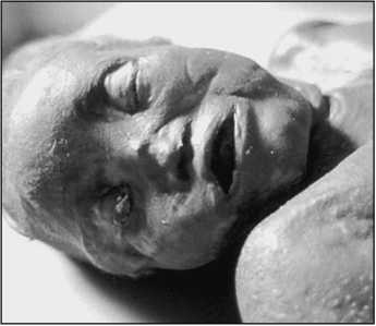 Иллюстрация к книге — 500 великих загадок истории [i_108.jpg]