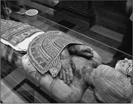 Иллюстрация к книге — 500 великих загадок истории [i_138.jpg]