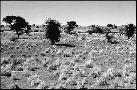 Иллюстрация к книге — 500 великих загадок истории [i_161.jpg]