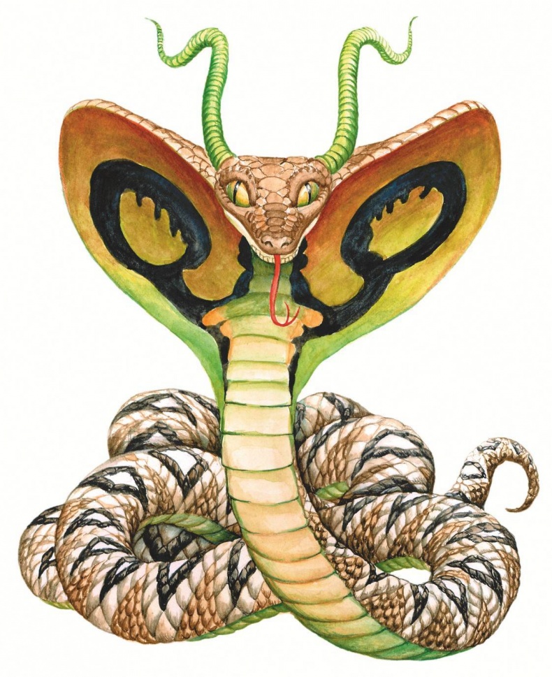 Иллюстрация к книге — Загадочные существа [i_002.jpg]