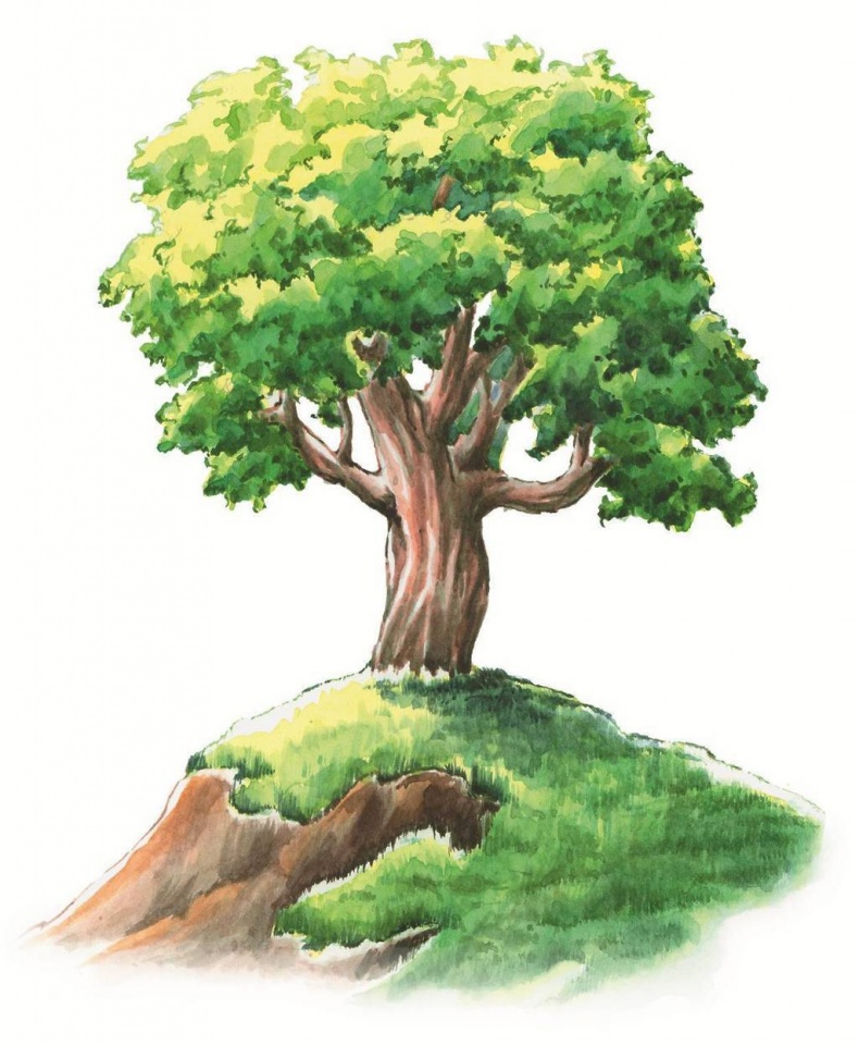 Иллюстрация к книге — Загадочные существа [i_006.jpg]