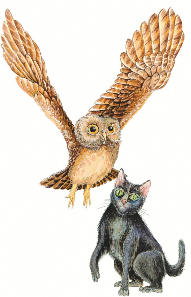 Иллюстрация к книге — Загадочные существа [i_010.jpg]