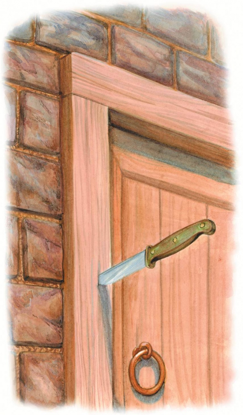 Иллюстрация к книге — Загадочные существа [i_019.jpg]