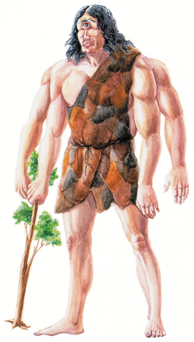 Иллюстрация к книге — Загадочные существа [i_050.jpg]