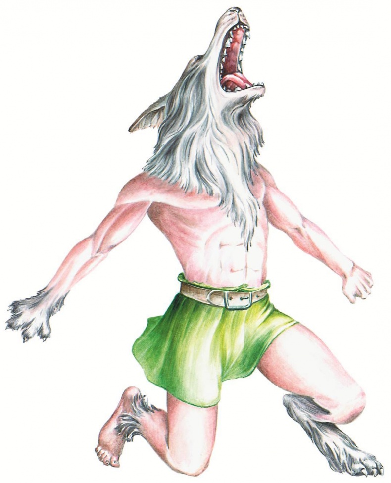 Иллюстрация к книге — Загадочные существа [i_056.jpg]