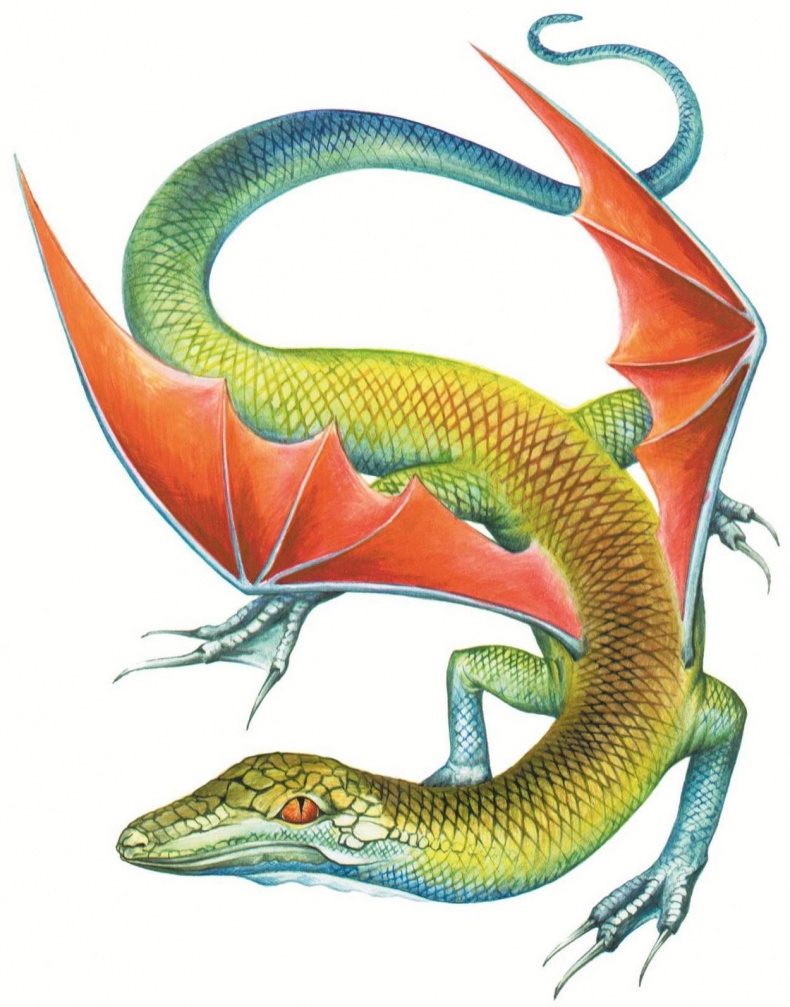 Иллюстрация к книге — Загадочные существа [i_113.jpg]