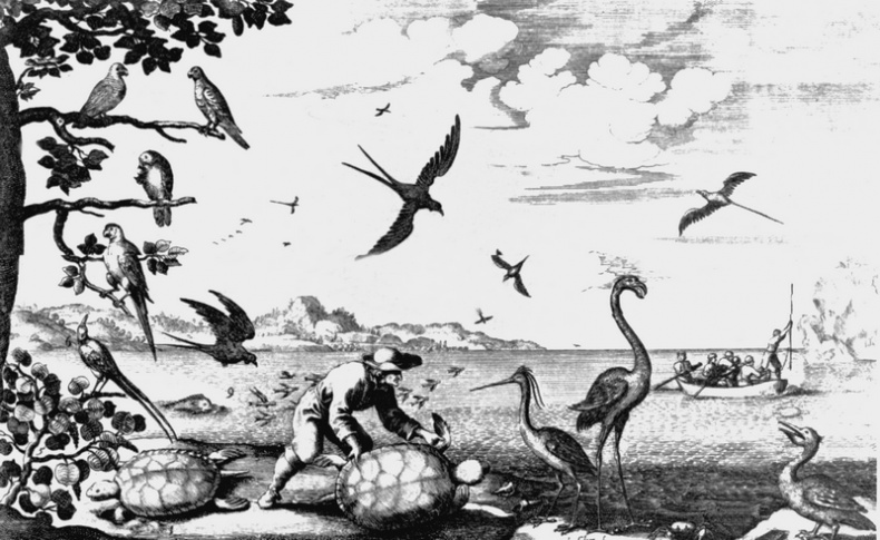 Иллюстрация к книге — История морских разбойников [i_003.jpg]