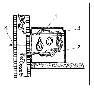 Иллюстрация к книге — Здоровая русская кухня [i_162.jpg]
