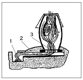 Иллюстрация к книге — Здоровая русская кухня [i_164.jpg]