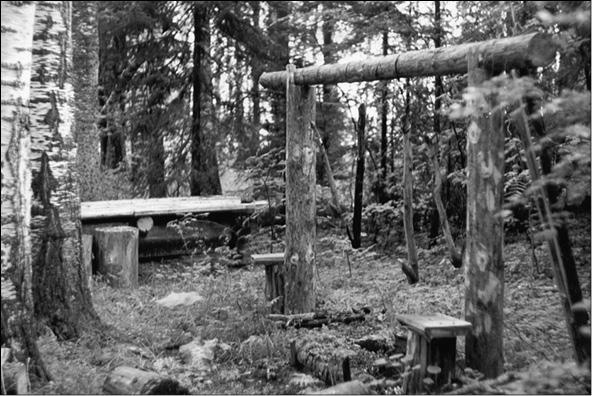 Иллюстрация к книге — Боги Лесного Заволжья. Путешествие по старым русским рубежам [i_007.jpg]