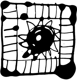 Иллюстрация к книге — Меня зовут Аглая [i_012.jpg]