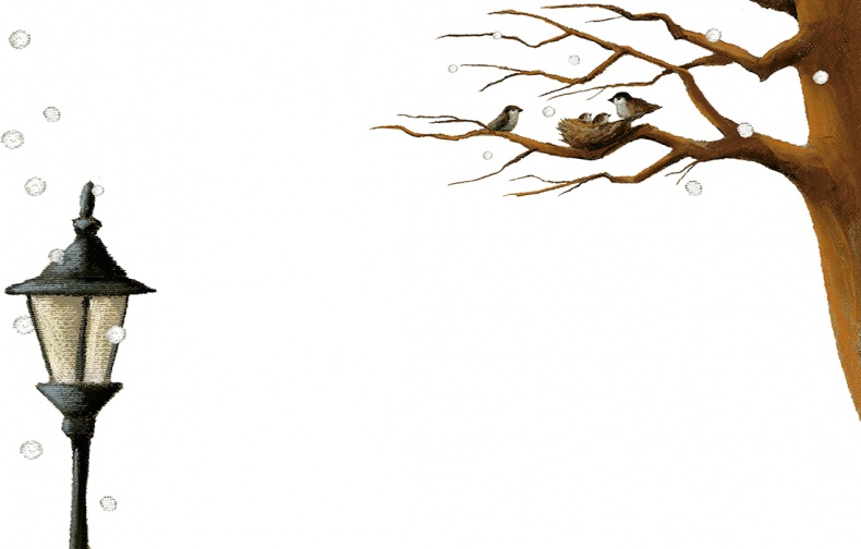 Иллюстрация к книге — Мировые мишки. Истории со всего света [i_004.jpg]