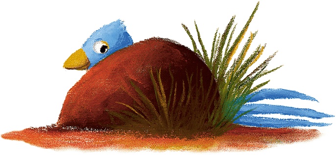 Иллюстрация к книге — Мировые мишки. Истории со всего света [i_048.jpg]