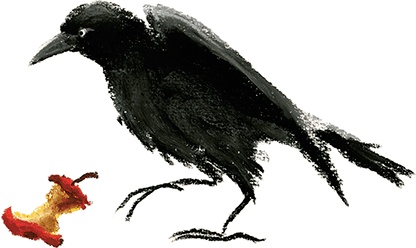 Иллюстрация к книге — Мировые мишки. Истории со всего света [i_056.jpg]