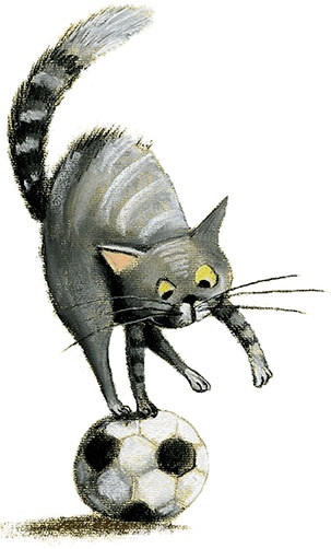 Иллюстрация к книге — Мировые мишки. Истории со всего света [i_079.jpg]