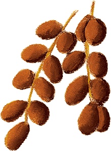 Иллюстрация к книге — Мировые мишки. Истории со всего света [i_085.jpg]