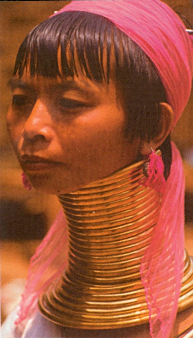 Иллюстрация к книге — Голый человек [i_038.jpg]