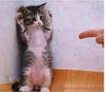 Иллюстрация к книге — Как заняться тем, что планировала и прекратить саботировать собственное будущее. Антисамосаботаж. Книга-тренинг [i_029.jpg]