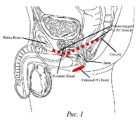 Иллюстрация к книге — Библия секса [_2.jpg]