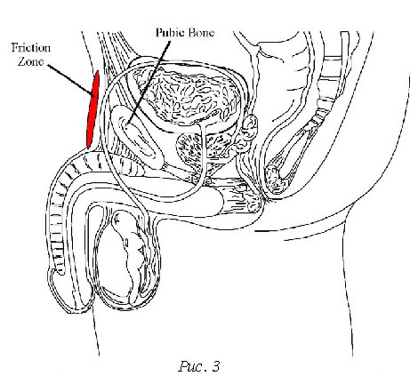Иллюстрация к книге — Библия секса [_4.jpg]