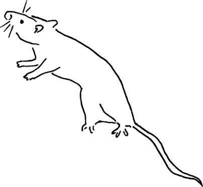 Иллюстрация к книге — Смотреть и видеть. Путеводитель по искусству восприятия [i_008.jpg]