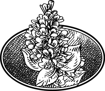 Иллюстрация к книге — Английская лаванда [_018.jpg]