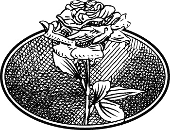 Иллюстрация к книге — Английская лаванда [_033.jpg]