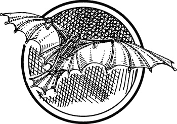 Иллюстрация к книге — Английская лаванда [_097.jpg]