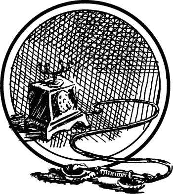 Иллюстрация к книге — Английская лаванда [_119.jpg]