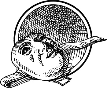 Иллюстрация к книге — Английская лаванда [_149.jpg]