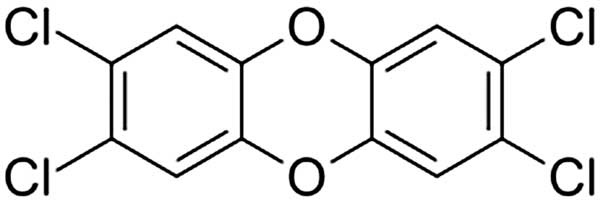 Иллюстрация к книге — Тайны мужчины и женщины [i_004.jpg]