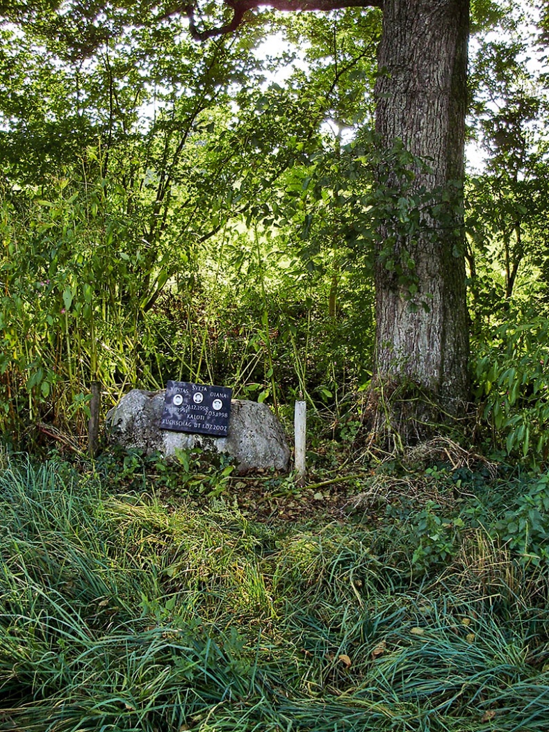 Иллюстрация к книге — Столкновение. Откровенная история Виталия Калоева [i_046.jpg]